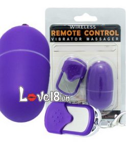 trung rung tinh yeu wireless dieu khien tu xa dc24 gia re tai ha noi