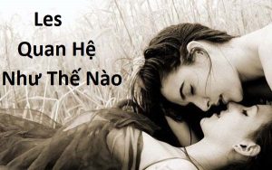 Les quan hệ như thế nào với nhau?