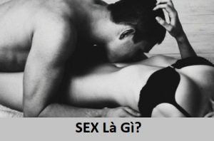 Sex là gì là điều mà ai cũng thắc mắc