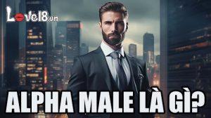 alpha male là gì?