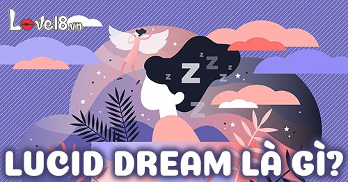 lucid dream là gì?