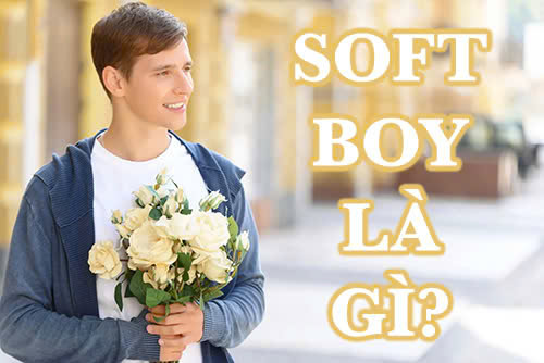 soft boy là gì