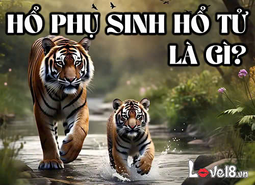 hổ phụ sinh hổ tử là gì