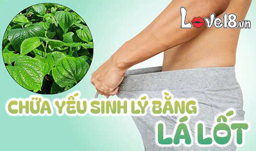 Bật mí 7 cách chữa yếu sinh lý bằng lá lốt cực đơn giản 1 Chữa yếu sinh lý bằng lá lốt
