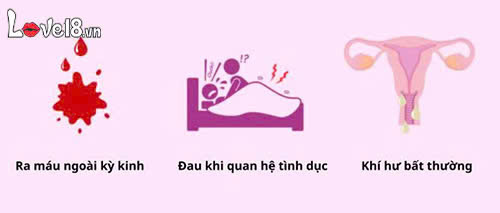 Viêm bộ phận sinh dục nữ là gì? Nguyên nhân và cách điều trị 7 triệu chứng khi bị viêm bộ phận sinh dục nữ là gì
