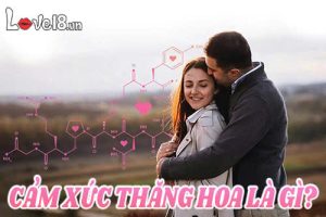 Cảm xúc thăng hoa là gì