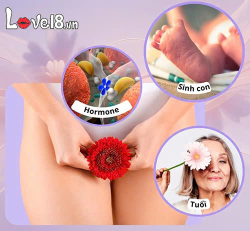 Phụ nữ lâu ngày không quan hệ vùng kín có khít lại không? 5 Lâu ngày không quan hệ vùng kín có khít lại không? yếu tố ảnh hưởng