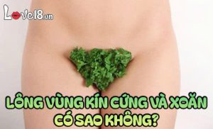 Lông vùng kín cứng và xoăn có sao không