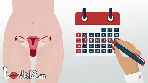Tới tháng là gì? Những điều cần biết về chu kỳ kinh nguyệt 3 Nữ giới tới tháng là gì