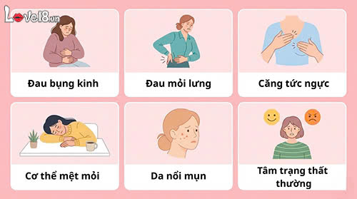 Tới tháng là gì? Những điều cần biết về chu kỳ kinh nguyệt 5 Tới tháng là gì và biểu hiện thường gặp khi hành kinh