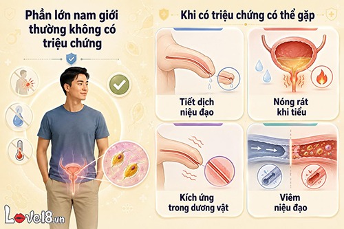 Trichomoniasis là bệnh gì? Dấu hiệu, đường lây và cách trị 5 trichomoniasis là bệnh gì và dấu hiệu phát bệnh ở nam